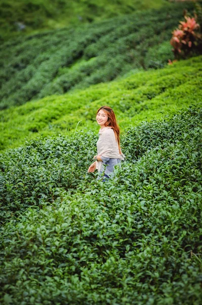 Hermosa chica en los campos de plantación de té en doi angkhang monte —  Fotos de Stock