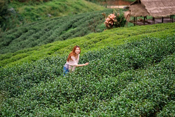 Asiático turistas mulher na fazenda plantação de chá em doi angkhang moun — Fotografia de Stock