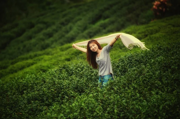 Aziatische toeristen vrouw op thee plantage boerderij op doi angkhang moun — Stockfoto