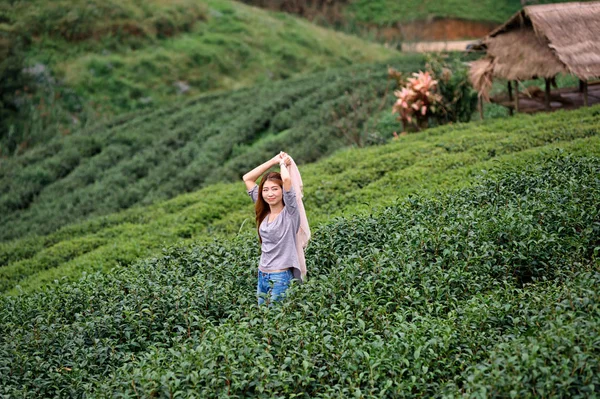 Asiático turistas mujer en té plantación granja en doi angkhang moun —  Fotos de Stock