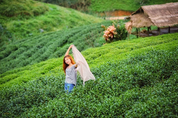 Asiático turistas mulher na fazenda plantação de chá em doi angkhang moun — Fotografia de Stock