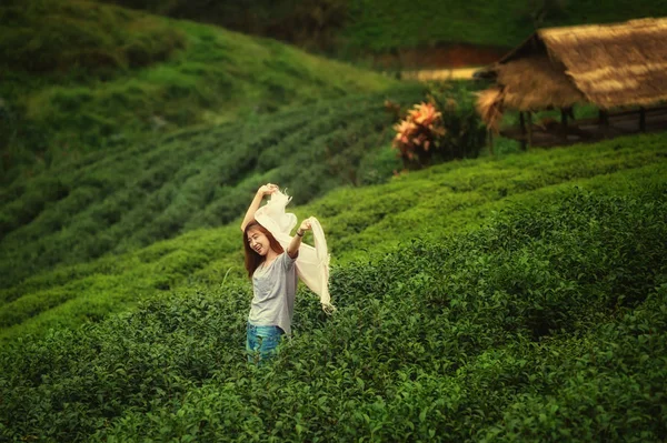 Asiático turistas mujer en té plantación granja en doi angkhang moun —  Fotos de Stock