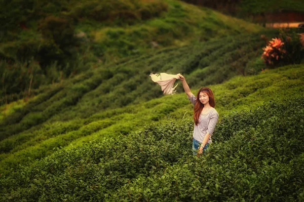 Asiatico turisti donna su tea piantagione fattoria a doi angkhang moun — Foto Stock