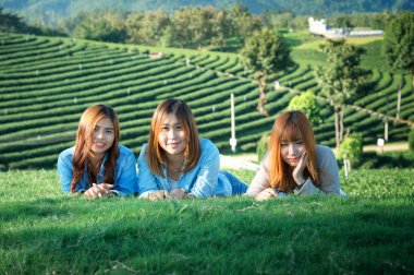 Üç Asyalı gülümseyen kız Chuifong çay çiftliğinde çimlere uzanmış, boş zaman geçiriyorlar, dinleniyorlar.