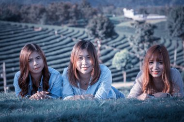 Üç Asyalı gülümseyen kız Chuifong çay çiftliğinde çimlere uzanmış, boş zaman geçiriyorlar, dinleniyorlar.