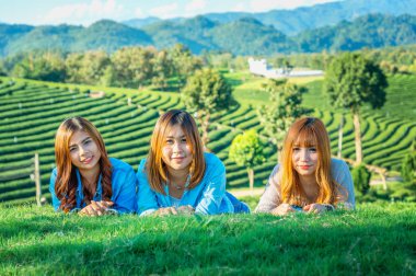 Üç Asya kız çay çiftliğinde yeşil çim üzerinde yalan 