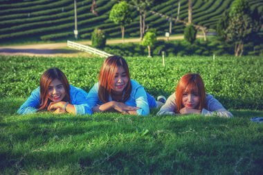 Üç Asyalı gülümseyen kız Chuifong çay çiftliğinde çimlere uzanmış, boş zaman geçiriyorlar, dinleniyorlar.