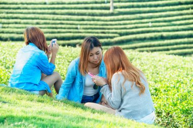 Üç Asyalı kız boş zaman geçirmek için akıllı telefon kullanıyor, Chuifong çay bahçesindeki yeşil çimlere oturuyor, dinleniyor.