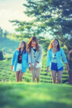 çay bahçesinde yeşil çimenlerin üzerinde yürüyüş üç Asya kadın