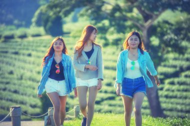 çay bahçesinde yeşil çimenlerin üzerinde yürüyüş üç Asya kadın