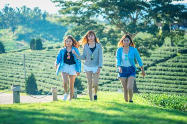 çay bahçesinde yeşil çimenlerin üzerinde yürüyüş üç Asya kadın