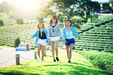 çay bahçesinde yeşil çimenlerin üzerinde yürüyüş üç Asya kadın