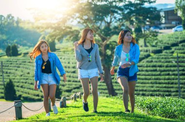 çay bahçesinde yeşil çimenlerin üzerinde yürüyüş üç Asya kadın