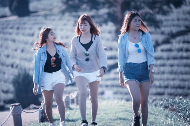 çay bahçesinde yeşil çimenlerin üzerinde yürüyüş üç Asya kadın