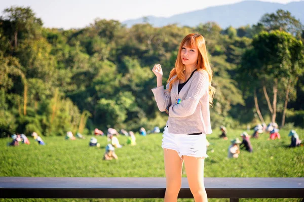 차 정원 chuifong 태국에서 보기에 아시아 여자 포인트 — 스톡 사진