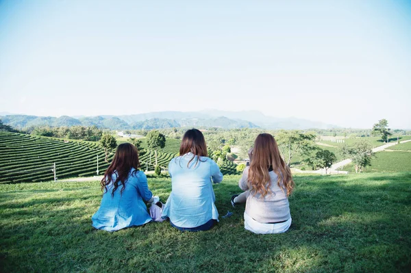 three asia girl spending free time, sit on green grass at tea garden , relaxing