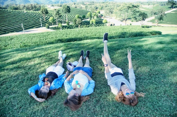 Üç Asya kız çay çiftliğinde yeşil çim üzerinde yalan 