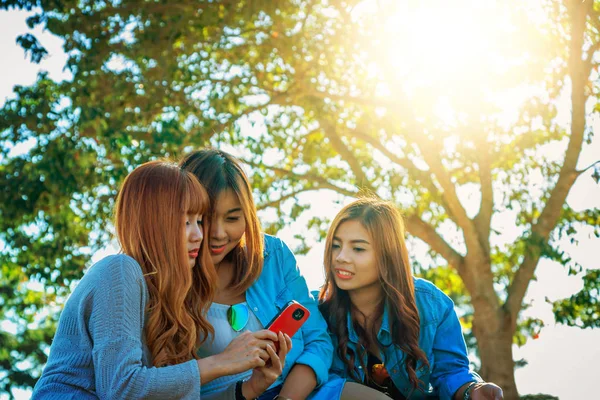 Tři dívka Asie použití chytrého telefonu na chuifong tea garden — Stock fotografie