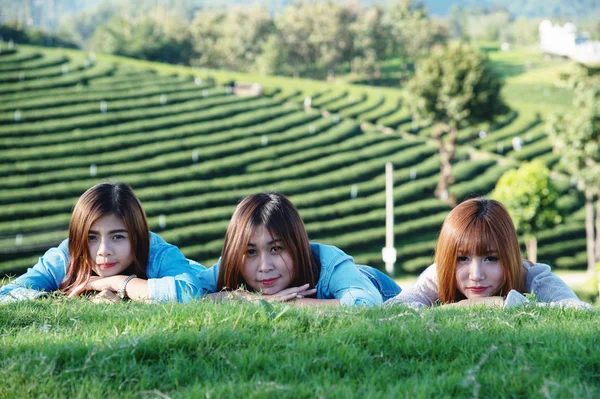 Drei asiatische Mädchen liegen auf grünem Gras auf Teefarm — Stockfoto