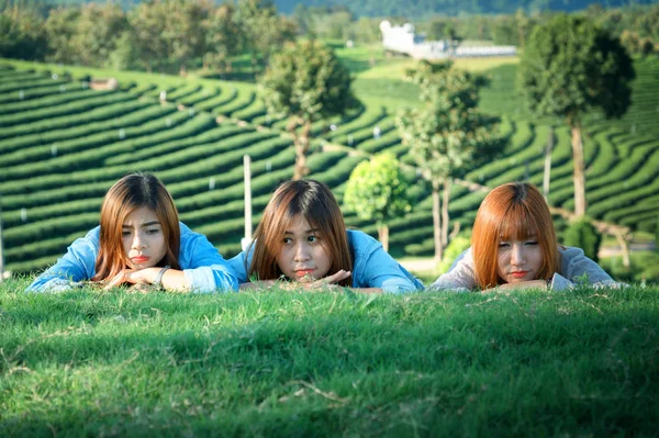 Τρεις Ασίας κορίτσι ξαπλωμένο στο πράσινο χορτάρι τσάι αγροκτήματος — Φωτογραφία Αρχείου
