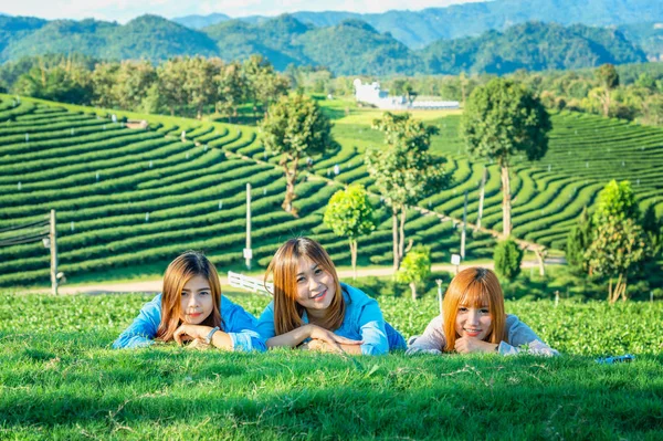 three asia girl lying on green grass at tea farm