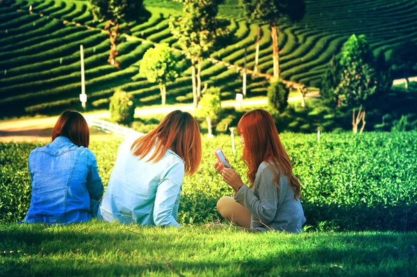 三个亚洲女孩在业余时间用智能手机 坐在翠峰茶园的绿草上休息 — 图库照片