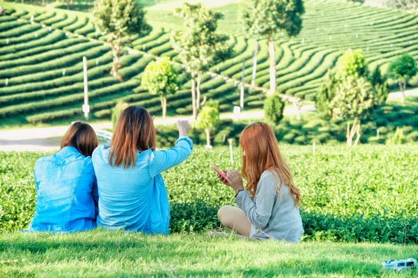 Trzy dziewczyny asia Użyj inteligentnego telefonu w chuifong tea garden — Zdjęcie stockowe
