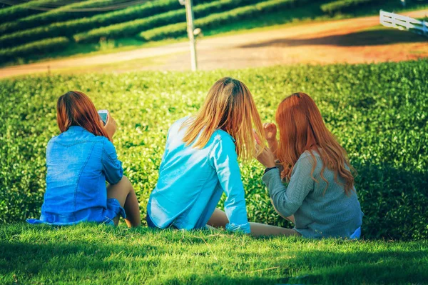 Tři dívka Asie použití chytrého telefonu na chuifong tea garden — Stock fotografie