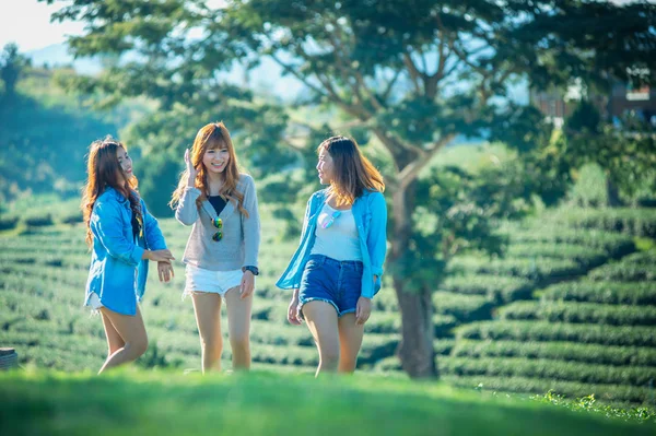 チェンマイティーガーデンの緑の草の上を歩く3人のアジア人女性 Thailand — ストック写真