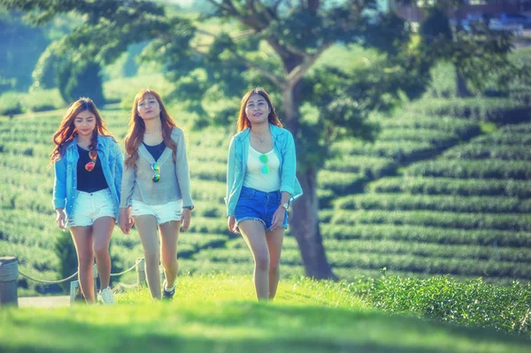 Три Азійські Жінки Ходять Зеленій Траві Чайному Городі Чіандрай Таїланд — стокове фото