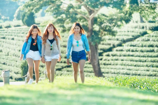 Três Mulher Asiática Andando Grama Verde Jardim Chá Chuifong Chiangrai — Fotografia de Stock