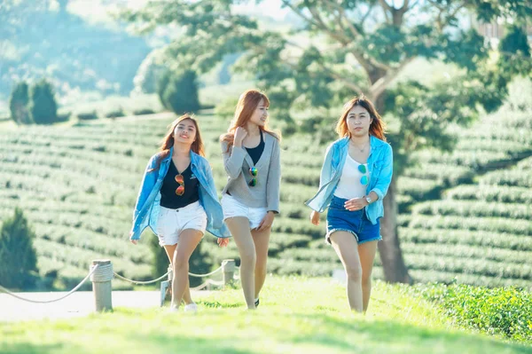 çay bahçesinde yeşil çimenlerin üzerinde yürüyüş üç Asya kadın