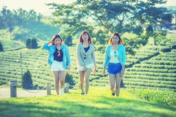 Çay bahçesinde yeşil çimenlerin üzerinde yürüyüş üç Asya kadın — Stok fotoğraf