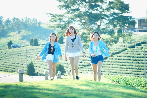 Trzy Azjatyckie Kobieta Chodzenie Zielonej Trawie Chuifong Herbaty Ogród Chiangrai — Zdjęcie stockowe