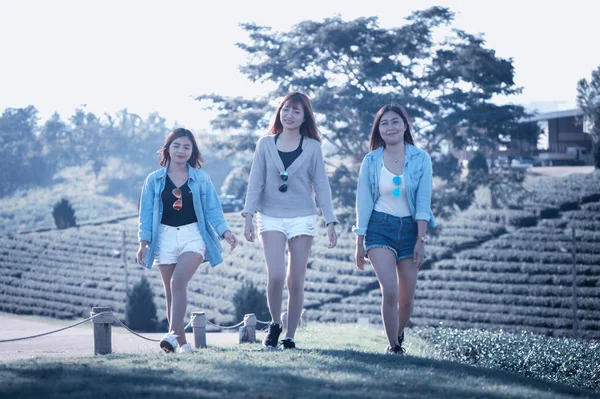 Drie Aziatische Vrouw Wandelen Groen Gras Bij Chuifong Thee Tuin — Stockfoto