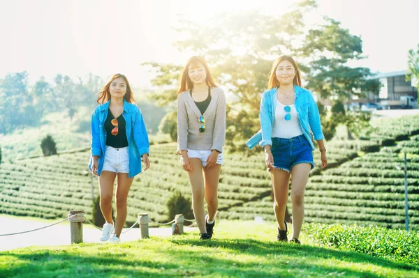 Τρεις Asia Γυναίκα Περπάτημα Πράσινο Γρασίδι Στο Chuifong Κήπο Τσάι — Φωτογραφία Αρχείου