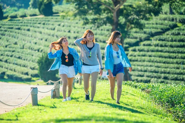 Drei Asiatische Frauen Auf Grünem Gras Chuifong Teegarten Chiangrai Thailand — Stockfoto