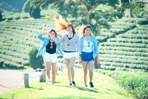 Drei Asiatische Frauen Auf Grünem Gras Chuifong Teegarten Chiangrai Thailand — Stockfoto