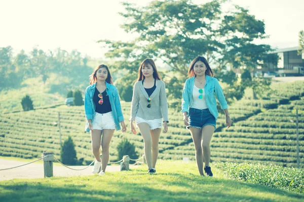 Tres asia mujer caminando en verde hierba en té jardín —  Fotos de Stock