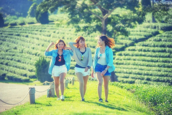 Three asia woman walking on green grass at tea garden — Stock Photo, Image