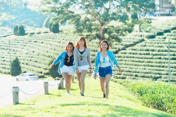 Τρεις Asia Γυναίκα Περπάτημα Πράσινο Γρασίδι Στο Chuifong Κήπο Τσάι — Φωτογραφία Αρχείου