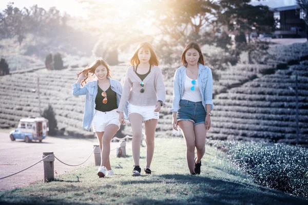 三个亚洲女人走在泰国川地茶园的绿草上 — 图库照片