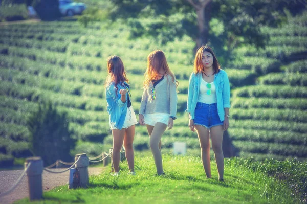 Τρεις Ασίας γυναίκα το περπάτημα σε πράσινο γρασίδι στο κήπο τσαγιού — Φωτογραφία Αρχείου