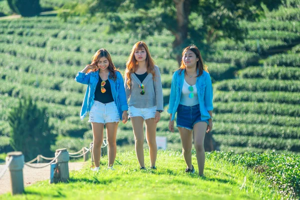 Three Asia Woman Walking Green Grass Chuifong Tea Garden Chiangrai — Stock Photo, Image