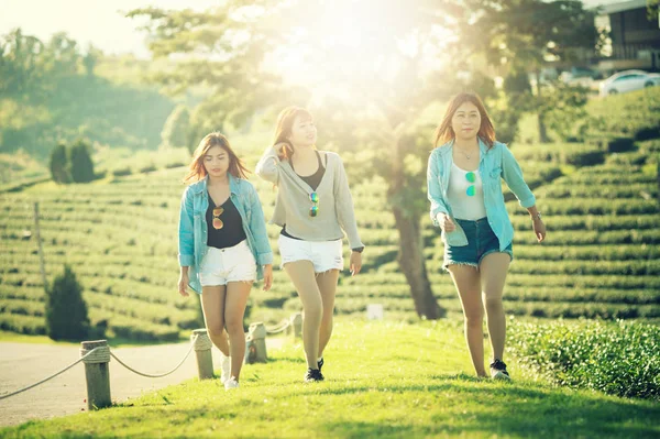 三个亚洲女人在茶园在绿色草地上行走 — 图库照片