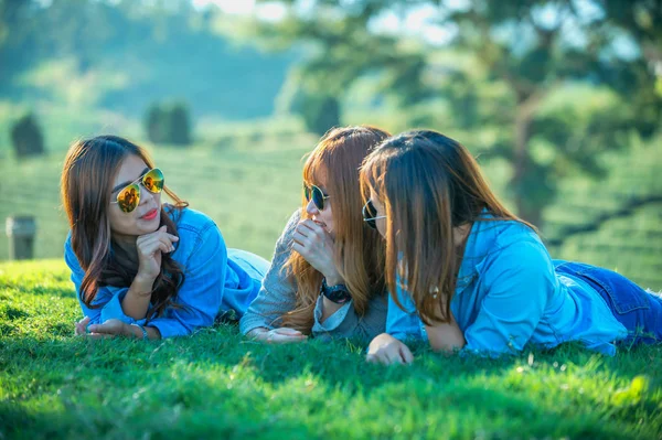 Tre asiatico ragazza sdraiato su verde erba a tè fattoria — Foto Stock