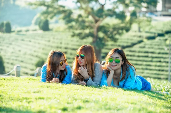 Three asia girl lying on green grass at tea farm — Stock Photo, Image