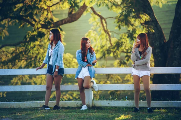 Estilo Vida Soleado Retrato Moda Asia Mujer Joven Plantación Chuifong —  Fotos de Stock