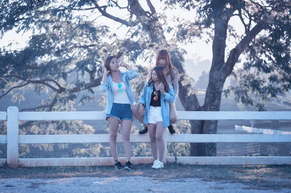 泰国清风茶园亚洲年轻女子的阳光生活时尚画像 — 图库照片