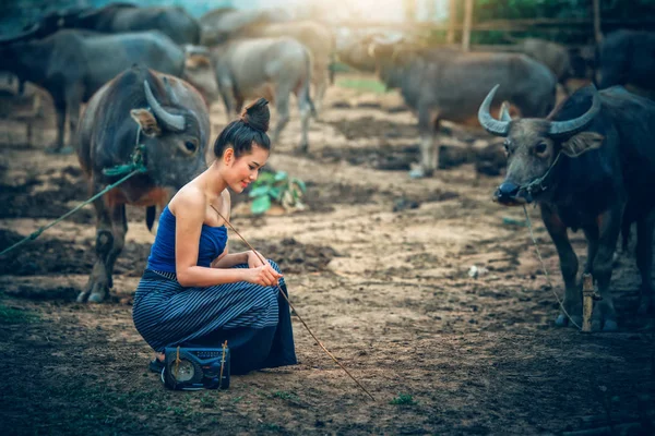 Belle Donne Asiatiche Vestite Costume Nazionale Con Bufalo Terreni Agricoli — Foto Stock